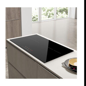 golenda stainless steel induction cooktop
