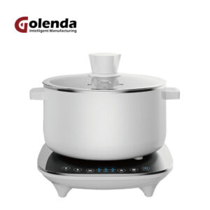 golenda 1950w portable induction cooktop
