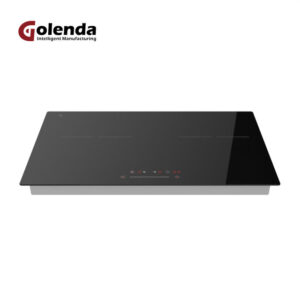 golenda 2 burner induction cooktop