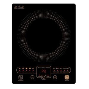 Golenda 1800W Portable Induction Cooktop Touch Control Timer | 13 LED